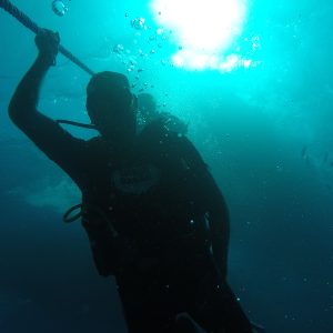 PADI deep diver specialty course sharm el sheikh