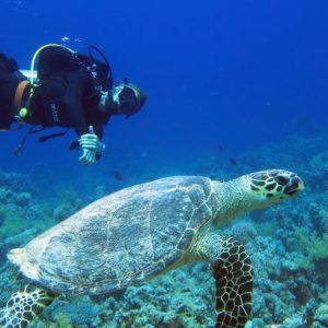 PADI open water diver course in Sharm El Sheikh