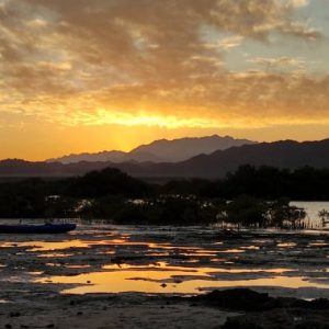 Nabq Protected area Camping / Diving Safari (2 days - 4 dives)